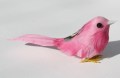 207788 Veren vogel pink
